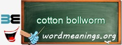 WordMeaning blackboard for cotton bollworm